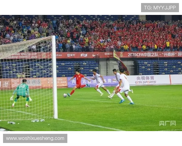 体育足球赛事越南（越南男足比赛）sports