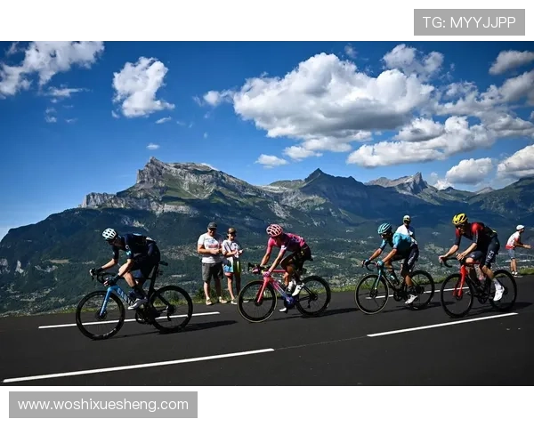 宝马环法自行车赛（宝马赛车自行车价格）sports